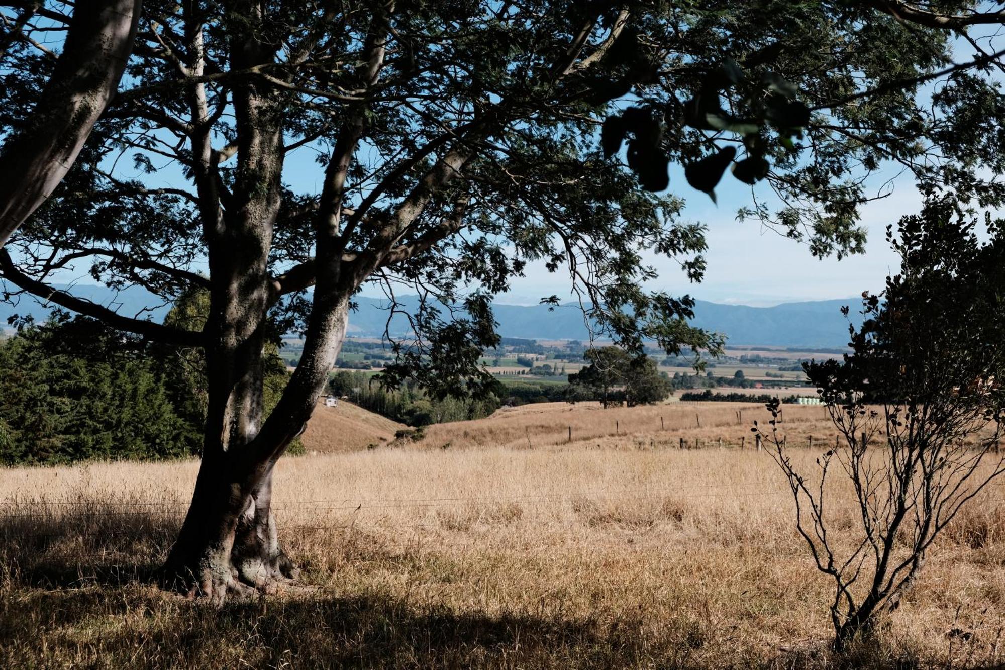 מרטינבורו A Cabin With A Big View, Comfort And Tranquility, Close To Vines מראה חיצוני תמונה